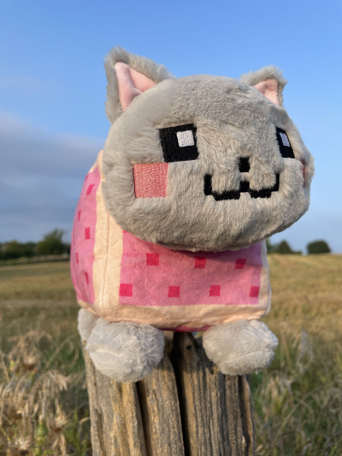 Nyan Plushie