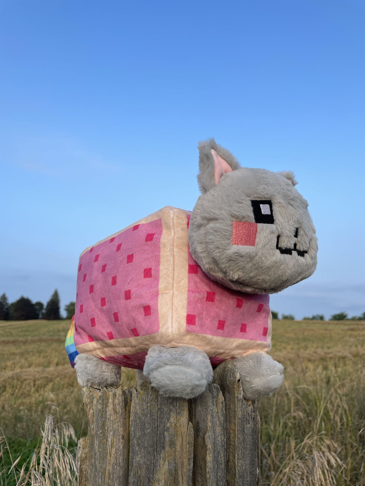 Nyan Plushie